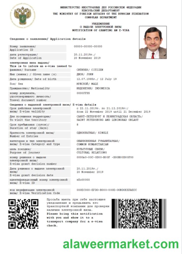 Russia e-visa in Word and PDF template